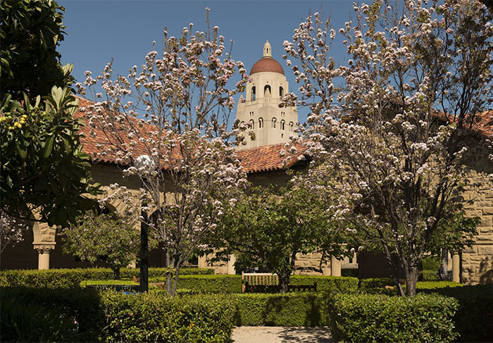 斯坦福大学